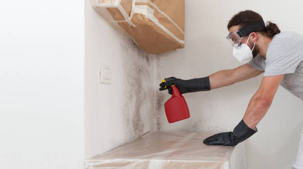 Professional Bathroom Mold Removal technician working in Petoskey, MI