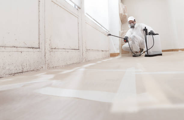 24/7 Emergency Bathroom Mold Removal experts in Petoskey, MI